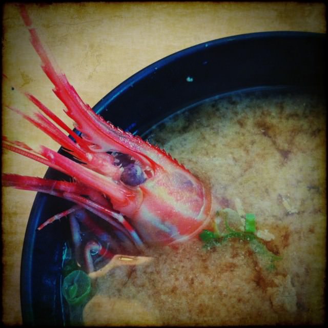 shrimp in a bowl of soup