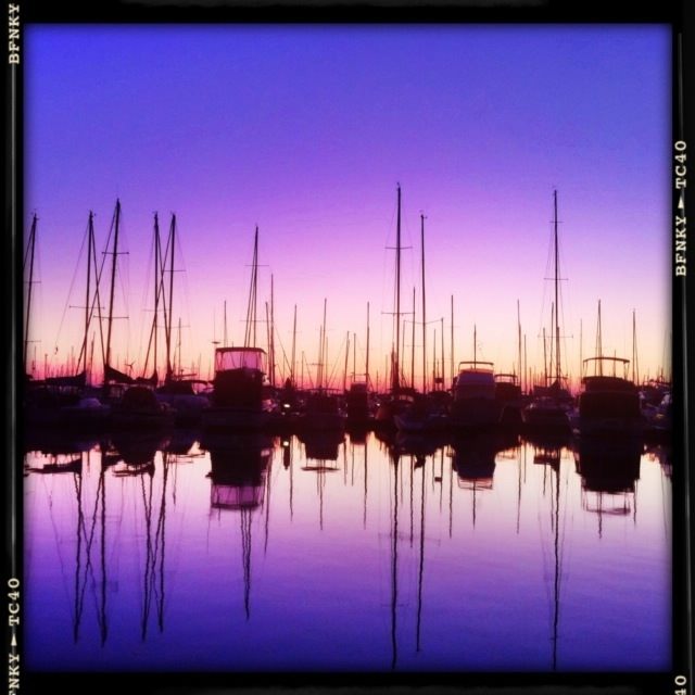 Manly Harbor at Twilight