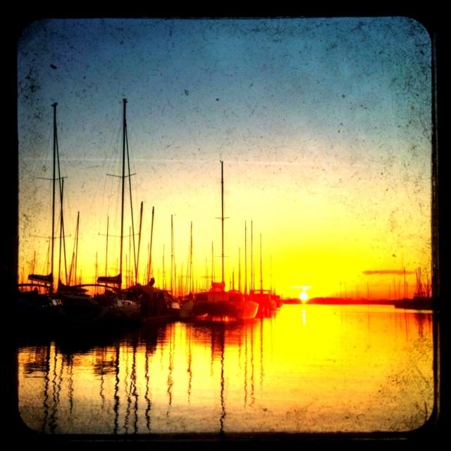sunrise at manly harbor