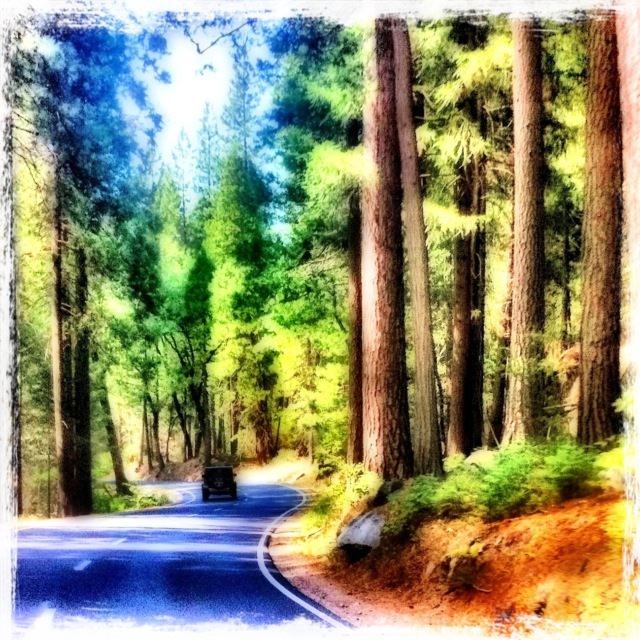 road into Yosemite national park